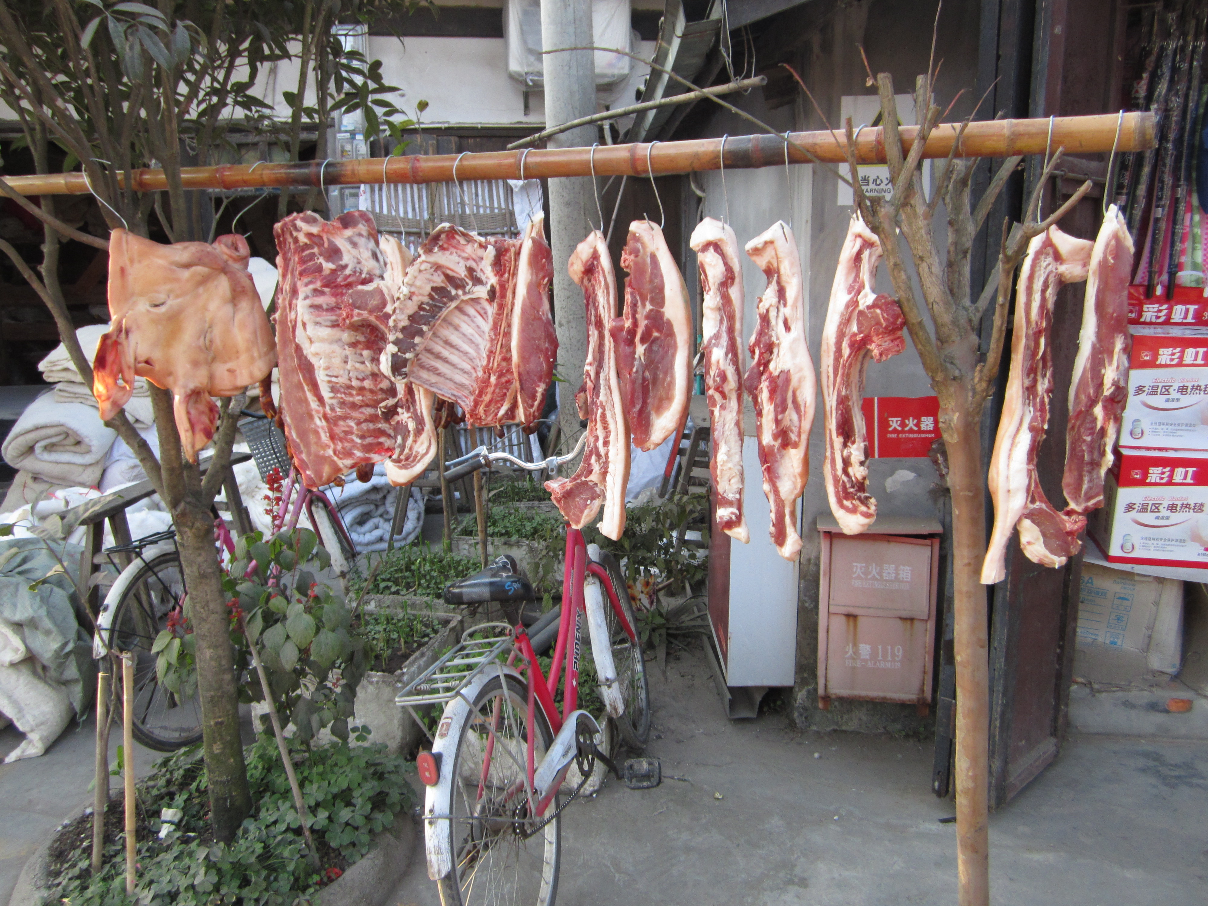 Hanging meat